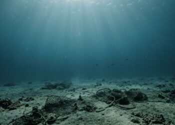 O oceano no Brasil está ficando vazio, atum, sardinha e outras 3 espécies desapareceram da água e os pesquisadores estão preocupados