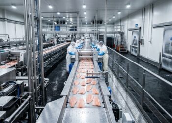 Noruega abre 45 vagas em fábrica de salmão com salário acima de 3.300 euros por mês e apoios à moradia
