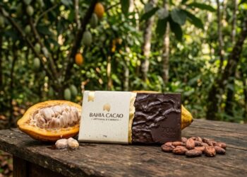 O chocolate brasileiro que ganha prêmios mundiais e nasce na mata atlântica
