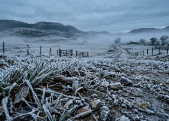 A cidade brasileira que já registrou a menor temperatura da história do país