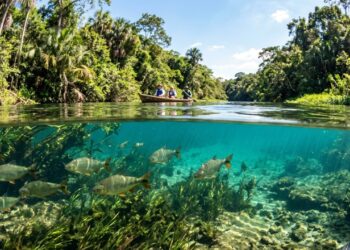O rio de águas tão transparentes em Mato Grosso que dá a sensação de flutuar no ar ao mergulhar
