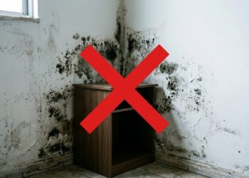  Diga adeus ao mofo na parede: a mistura caseira que elimina as manchas pretas de vez e impede que voltem