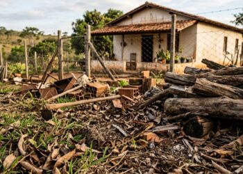 Regra dos 3 P: o método simples para reduzir a chance de cobras entrarem em casa no campo ou no quintal