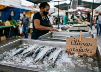 O peixe marinho mais popular do Brasil pode sumir dos mercados, e o alerta vem do oceano