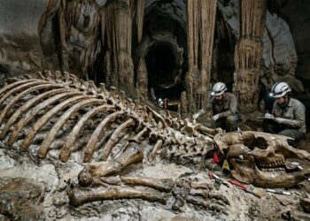Cavernas mineiras guardam ossadas de animais gigantes extintos