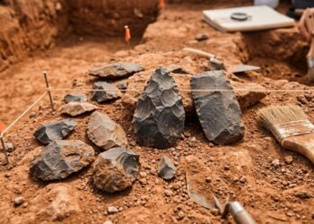 Foi descoberto que há 780.000 anos os hominídeos do Pleistoceno escolhiam diferentes fontes de basalto conforme o tipo de ferramenta