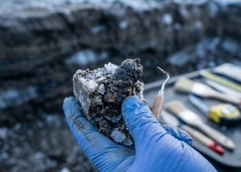 Zumbis da era do gelo? Cocô fossilizado de 700 mil anos revela que esquilos saíam do solo para devorar mamutes, bisões e grandes felinos mortos