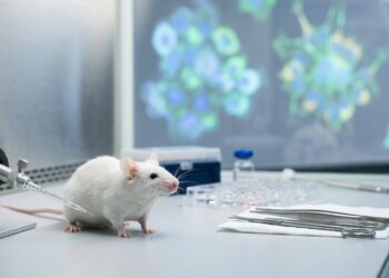 Pesquisadores colocaram em camundongos um gene mais antigo que a própria vida animal e resultados "extraordinários" surgiram