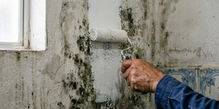 Adeus mofo no banheiro: a tinta japonesa que 'respira' e nunca mais mancha