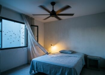 O truque com ventilador que pode dificultar a aproximação de mosquitos em ambientes fechados