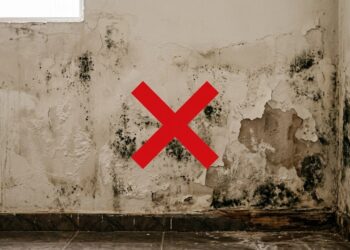 Como remover a umidade das paredes de forma rápida e eficaz? Remédio caseiro passo a passo