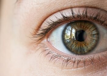 Por que você não enxerga o ponto cego dos seus próprios olhos?