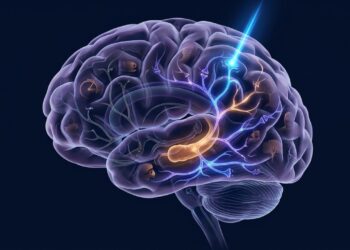 Como a memória funciona: entenda a neurociência por trás das lembranças
