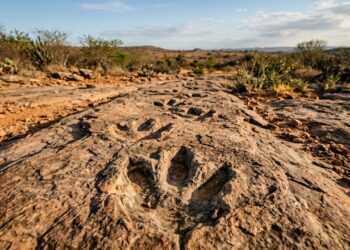 A “Capital dos Dinossauros” no sertão da Paraíba guarda pegadas pré-históricas no chão