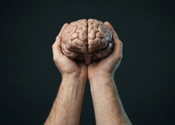12 fatos sobre o cérebro humano que parecem impossíveis, mas a ciência confirma