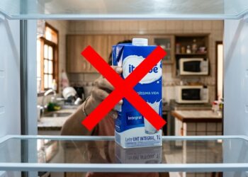 10 alimentos que não precisam ser guardados na geladeira antes de serem abertos