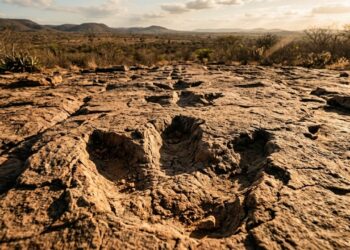 O município onde dinossauros e povos indígenas dividiram a mesma rocha