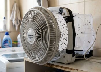 A armadilha com ventilador e tela que captura mosquitos da dengue sem usar veneno