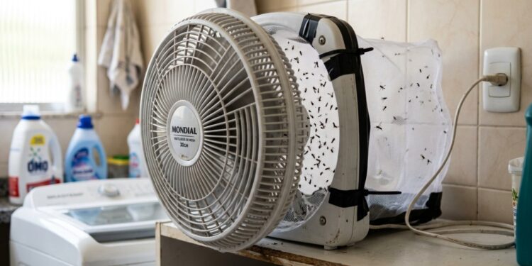 A armadilha com ventilador e tela que captura mosquitos da dengue sem usar veneno