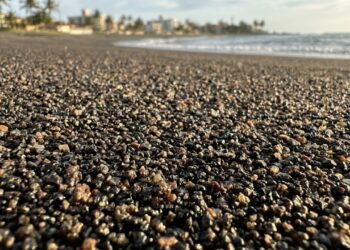 Uma praia brasileira emite radiação natural e transforma grãos negros em um mistério