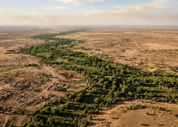 África cria corredor verde de 8.000 km com meta de recuperar 100 milhões de hectares