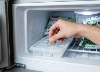 Para que serve colocar uma moeda no congelador antes de viajar