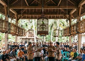 Competições de canto transformam pássaros selvagens em troféus e ampliam a crise das aves na Indonésia