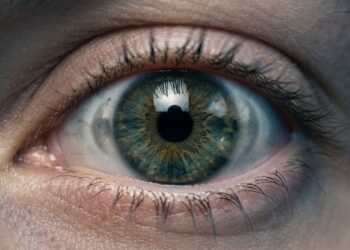 O que acontece com seus olhos durante o dia equivale a uma caminhada de quase 80 quilômetros