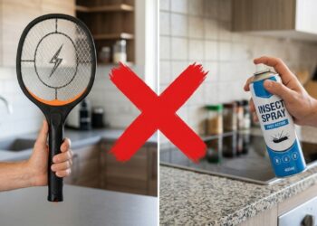 Não é com raquete, nem com spray: a armadilha caseira com garrafa que elimina mosquitos da fruta