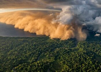 O deserto que alimenta a floresta: 27,7 milhões de toneladas de poeira do Saara chegam à Amazônia por ano