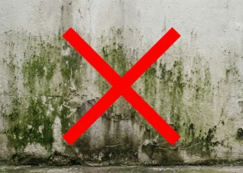 Não é com cal, nem com tinta: o que pedreiros passam no muro para nunca mais criar mofo verde