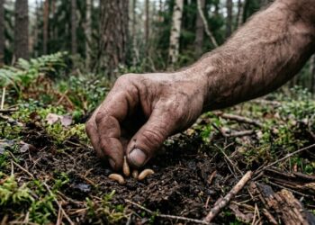O que os neandertais realmente comiam? A ciência acaba de atualizar a resposta