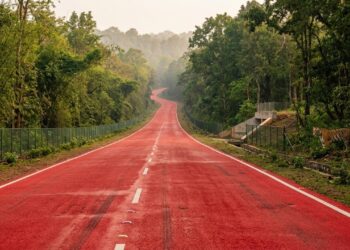 Índia pinta 2 km de rodovia de vermelho para desacelerar motoristas em reserva de tigres
