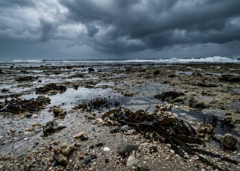 Por que o mar recua antes de um tsunami?