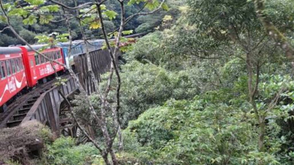As cidades da Serra do Mar onde neblina, montanhas e ferrovia criaram um cenário que parece parado no tempo