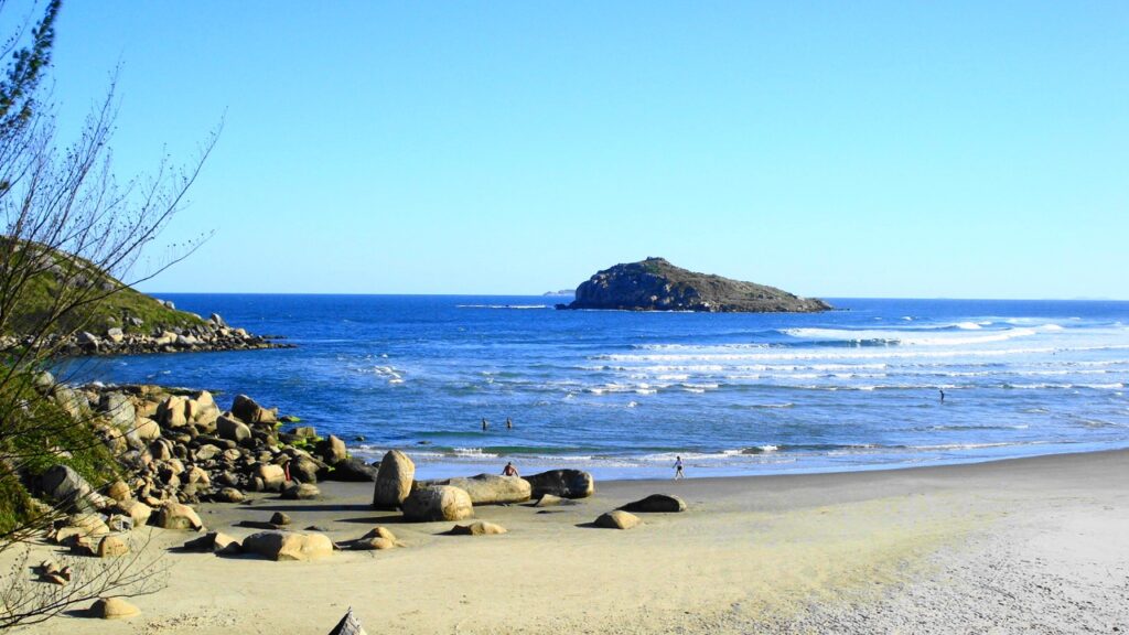 Conheça a cidade onde baleias surgem tão perto que parecem tocar a praia no inverno