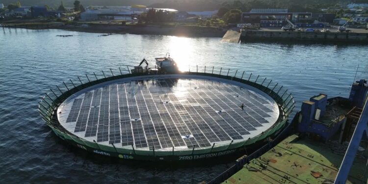 Fazenda de salmão no Chile cobre viveiros com painéis solares e mira corte de 139 mil litros de diesel por ano