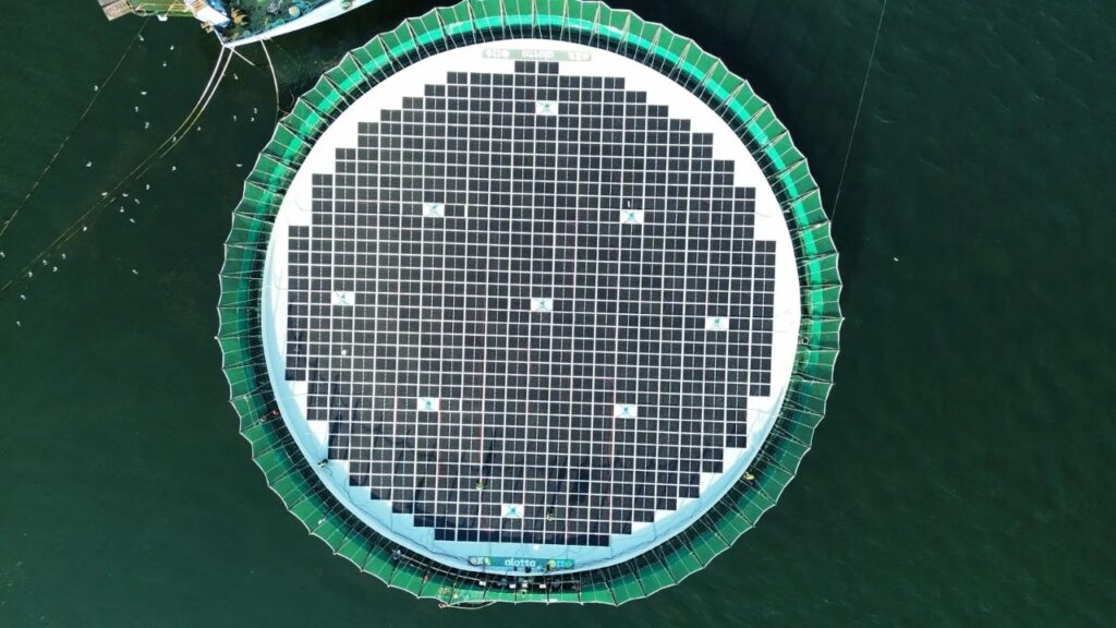 Fazenda de salmão no Chile cobre viveiros com painéis solares e mira corte de 139 mil litros de diesel por ano
