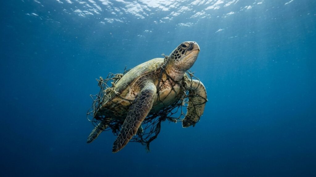 Grande Mancha do Pacífico guarda um dado inesperado: até 86% do plástico flutuante maior que 5 cm pode vir da pesca
