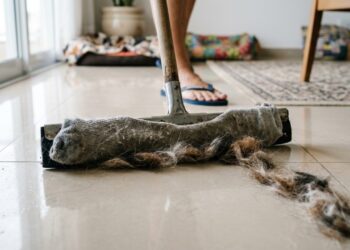 Usar uma meia velha no rodo pode transformar a limpeza de pelos espalhados pelo chão