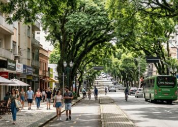 Por que a arborização das cidades é tão importante?