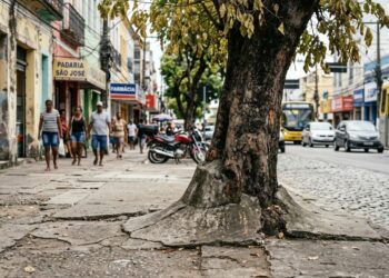 Jardineiro que cuida de condomínios repete o erro que mata mais árvore no Brasil: cimentar ao redor do tronco sufoca a raiz e a árvore morre em 3 anos, mas todo síndico pede isso achando que é manutenção