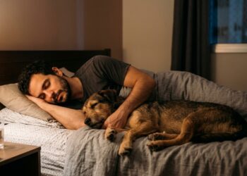 Por que os cães escolhem dormir perto de seus donos?