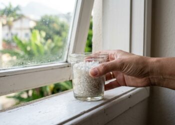 Por que colocar um copo com sal grosso perto da janela pode ajudar em ambientes muito úmidos