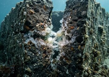O concreto que os romanos usaram em portos há 2 mil anos ficou mais forte com o tempo em vez de se deteriorar, cientistas descobriram que a água do mar ativou uma reação química na cinza vulcânica da mistura que formou cristais que selam as rachaduras sozinhos