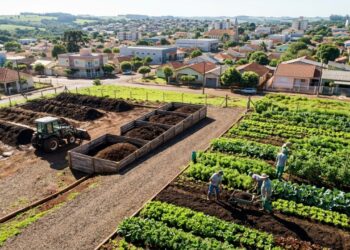 A cidade paranaense onde o lixo orgânico de 50 mil moradores vira adubo que abastece as hortas da merenda escolar, o caminhão do lixo toca uma música diferente do reciclável, e o morador que separa errado recebe um bilhete educativo no portão em vez de multa