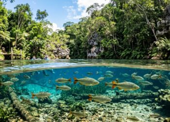 Rios transparentes, peixes sob os visitantes e uma trilha sonora natural fazem dessa cidade um destino diferente
