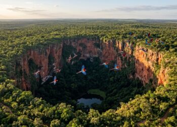 No interior, um município guarda uma cratera onde centenas de araras riscam o céu