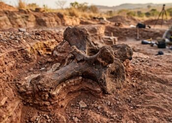 Fósseis surgem até em obras urbanas na cidade mineira que guarda mais de 10 mil vestígios pré-históricos