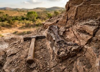Mais de 30 pontos de coleta de fósseis cercam um município paulista onde cientistas encontraram crocodilos desconhecidos pela ciência e ossos de enormes titanossauros, transformando o museu municipal em atração de turismo científico
